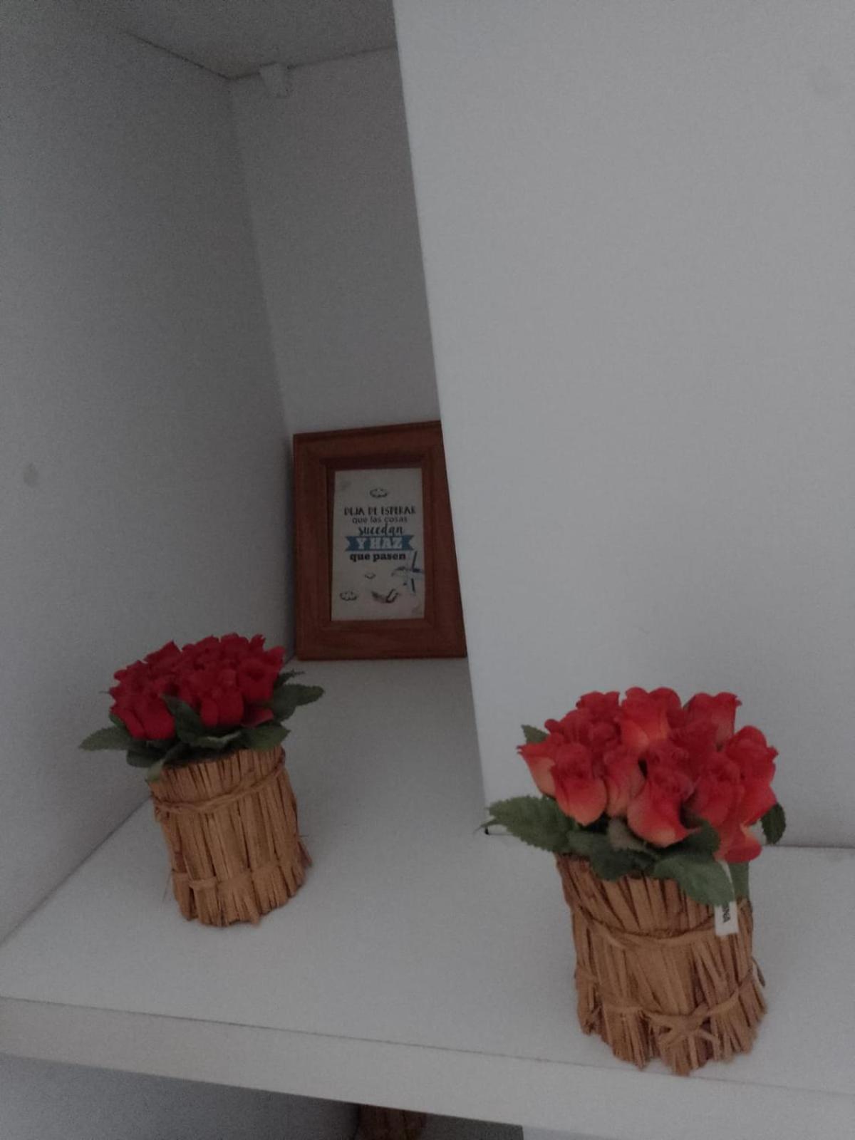 Apartment Relax En Palermo Con Gran Balcon Y Wifi 300mb *